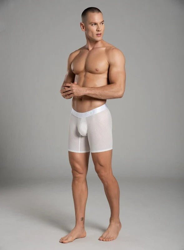 BOXER LARGO MICROFIBRA ZEUS


TALLA S - M - L - XL